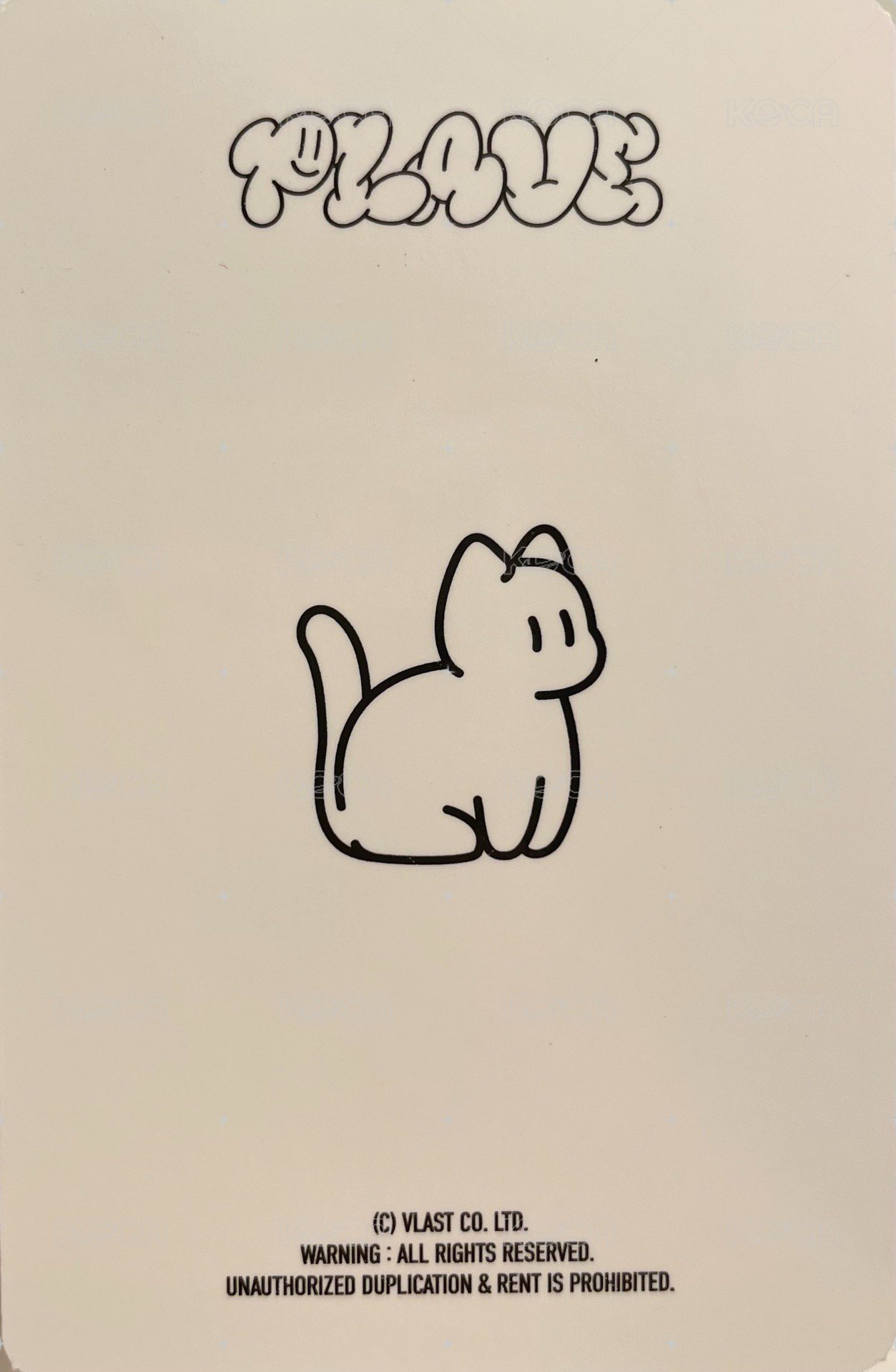 why? vlast 滿額卡  背面