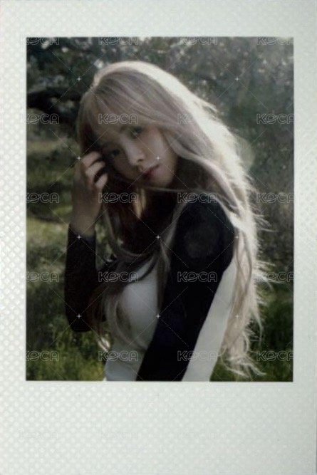 MY WORLD 專輯卡 zine版 wtmw拍立得柚 正面