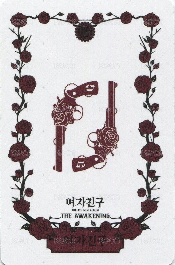 迷四 專輯卡 團卡 背面