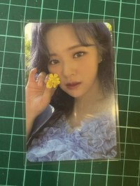 拿花定延
