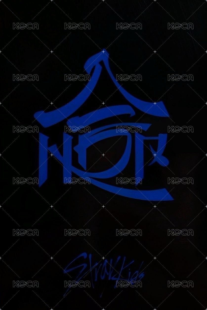 合(HOP) 阿拉丁 特典卡  背面