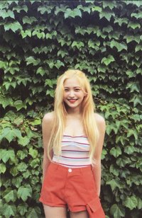 The Red Summer 專輯卡 綠牆椰