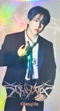 3rd 世巡 B版 隨機卡 大卡組