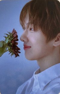 洗衣房 隨機卡 卡包卡 二期 官拍