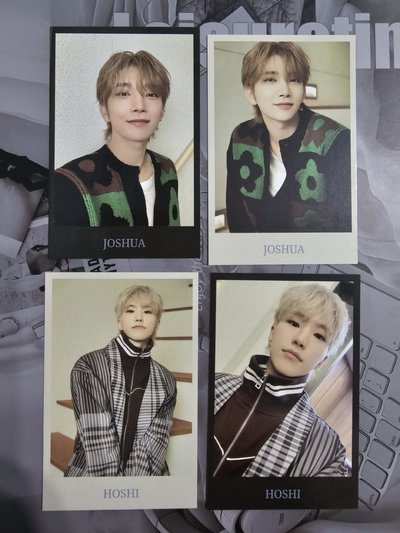 2024克拉島🦌🐯拍立得組