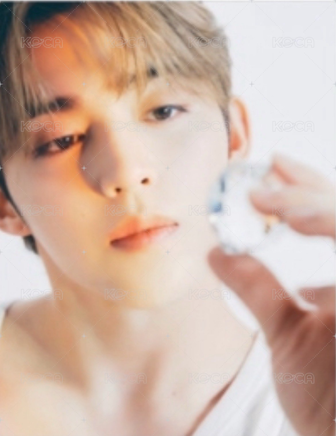 克拉盤 SCOUPS封