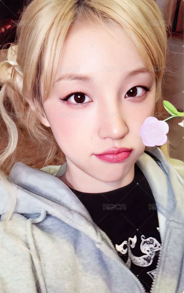 We are ms 特典卡  正面