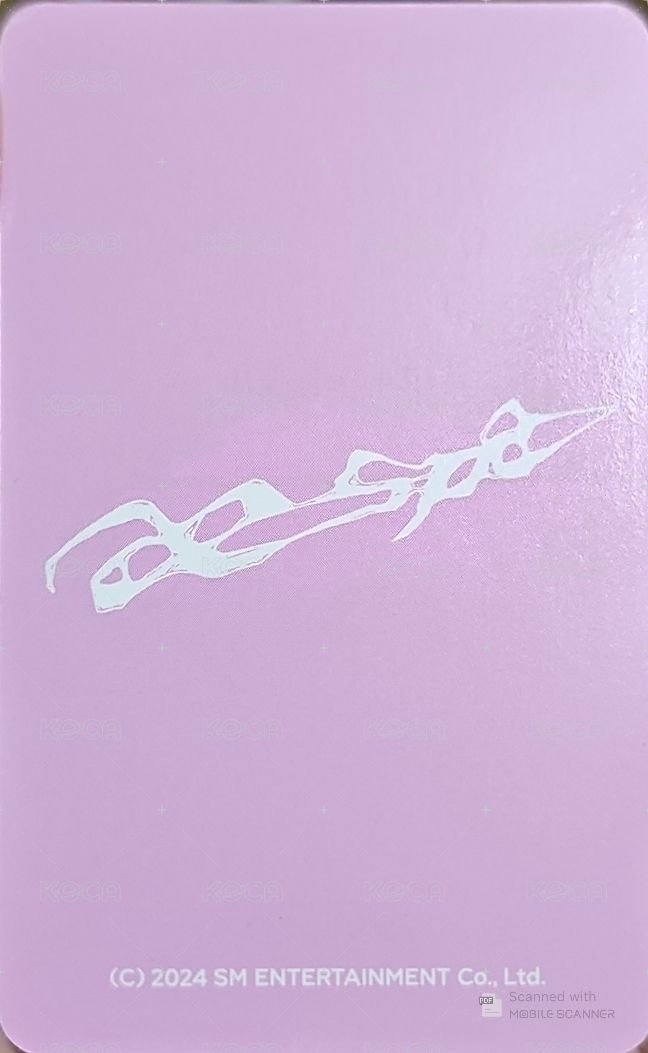 正規一 隨機卡 粉版冬官拍 背面