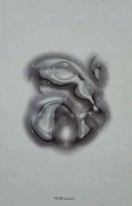 NEW DNA 專輯卡 ver.G 背面