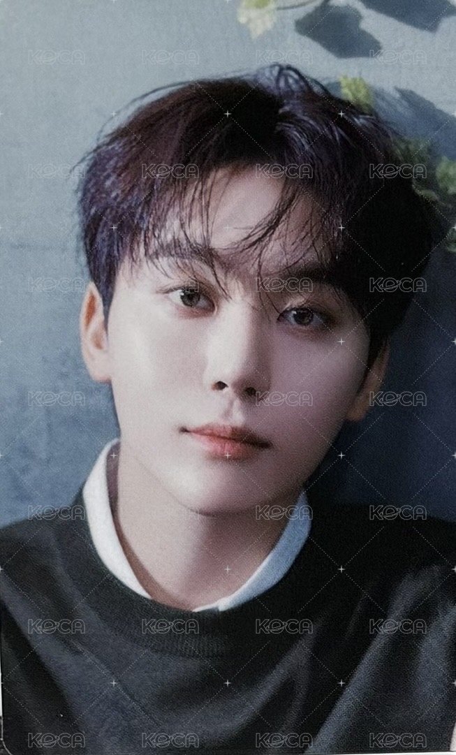 消費期限 專輯卡 B盤 正面