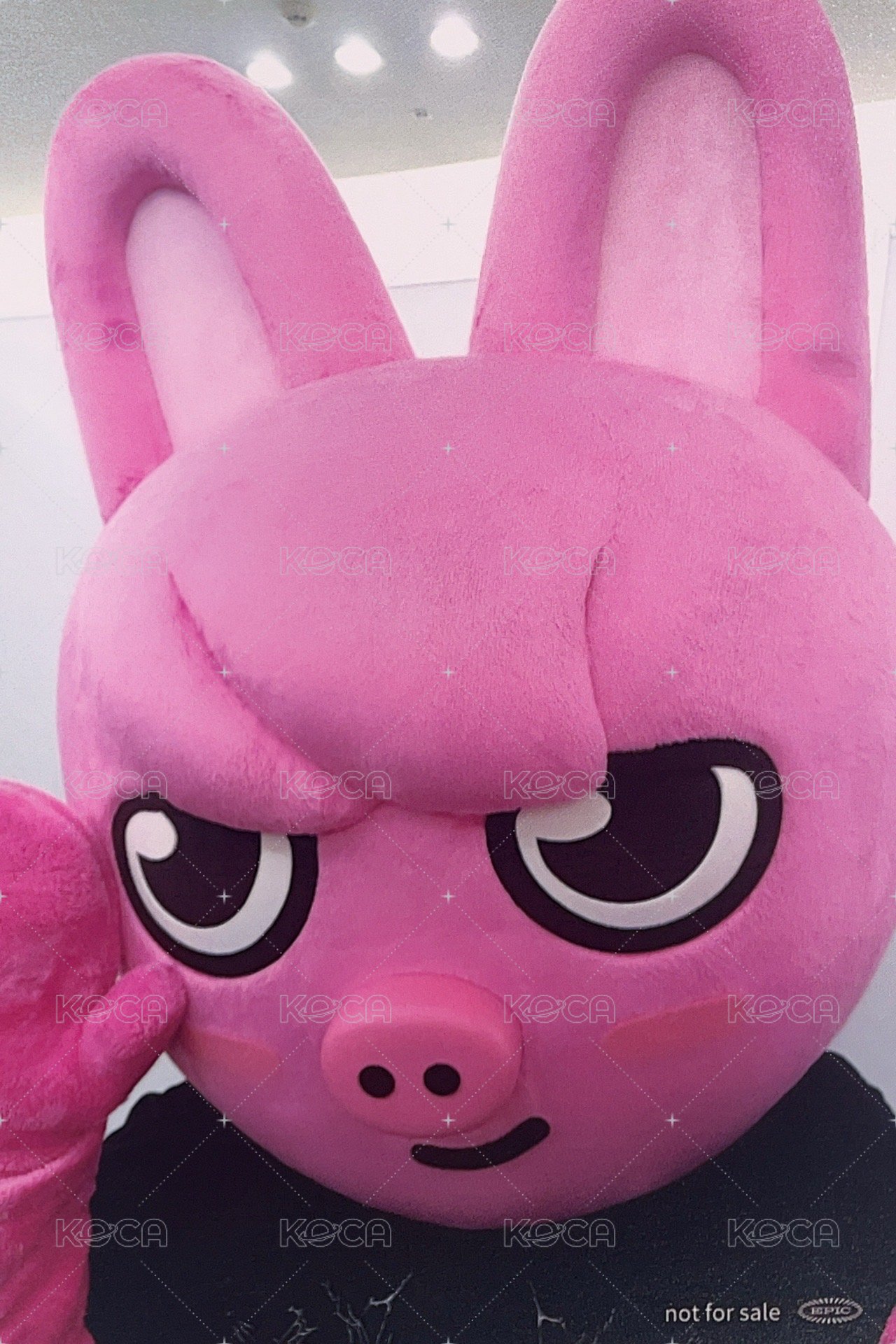 Hollow 塔店 特典卡 靜岡線上限定 背面