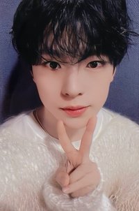 Steady yzy 特典卡 預售