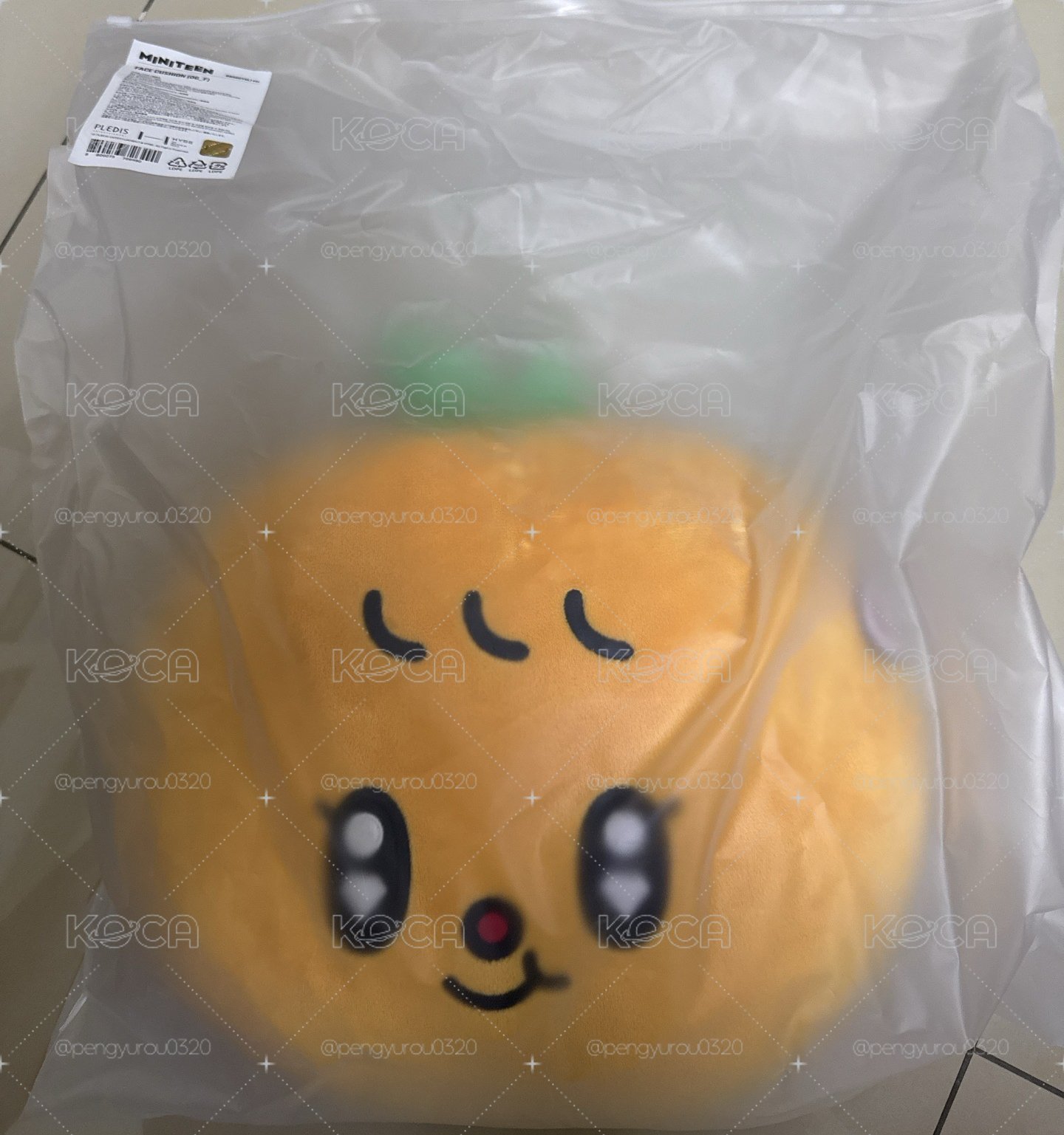 寛 miniteen抱枕