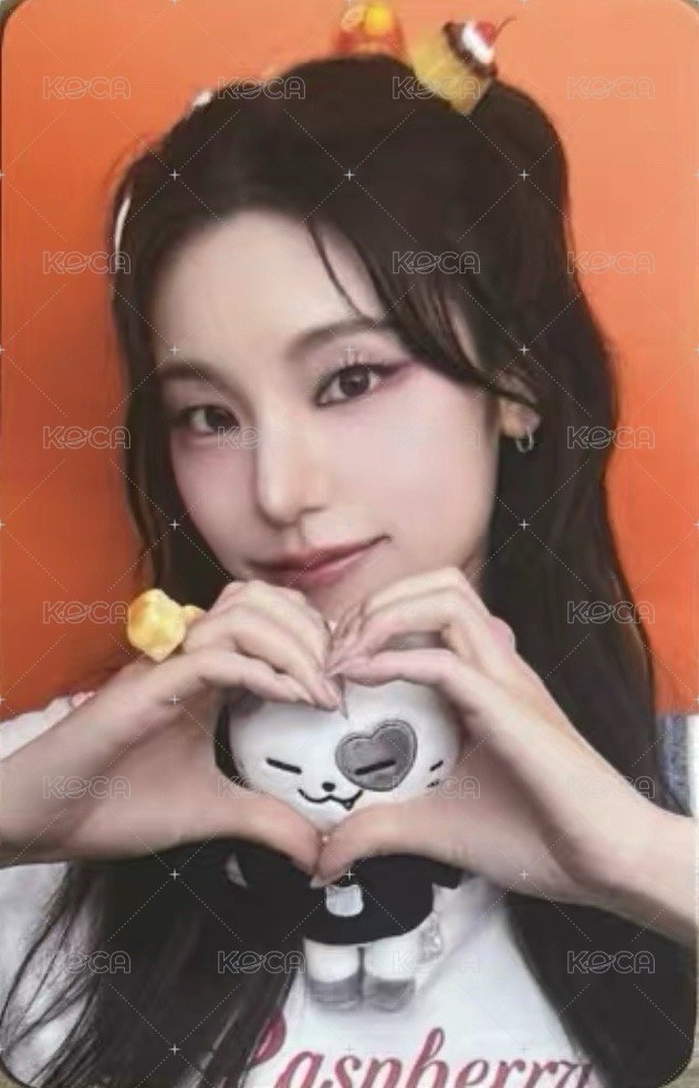 2024 FM 周邊卡 螢幕公仔卡 正面