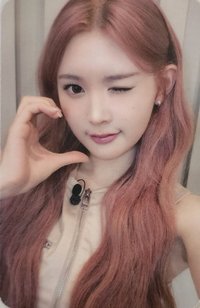 數單一 sw 直播卡 