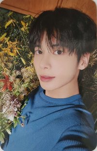 迷七 dmm 3.0 簽售卡 