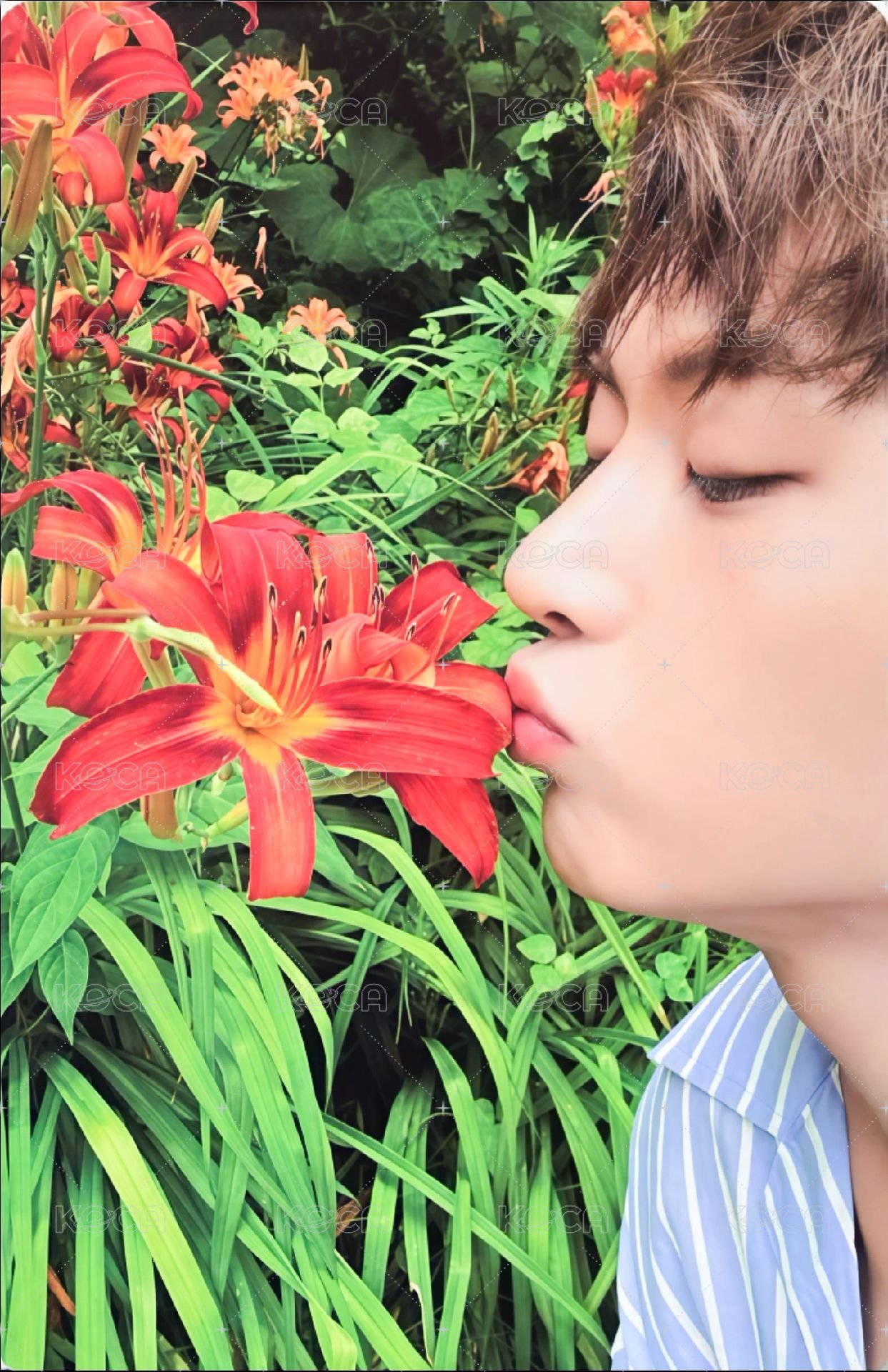 迷四 專輯卡 ROMANCE ver. 正面