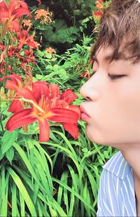 迷四 專輯卡 ROMANCE ver.