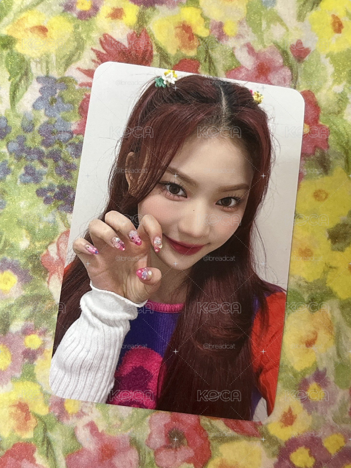 STAYC ISA Teddy Bear 泰迪熊 km 蝦皮莎 貓爪莎