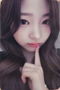 單一 mokket 簽售卡 