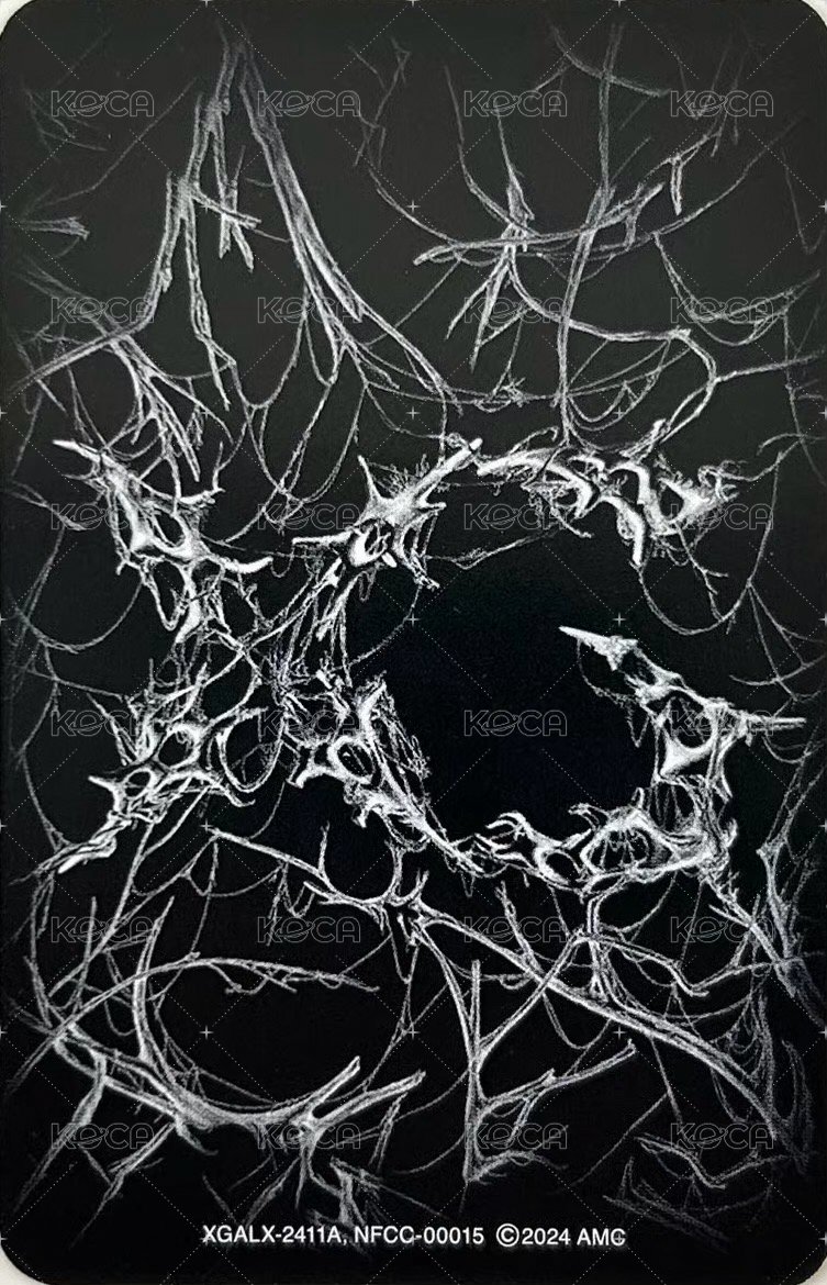 AWE 專輯卡  背面