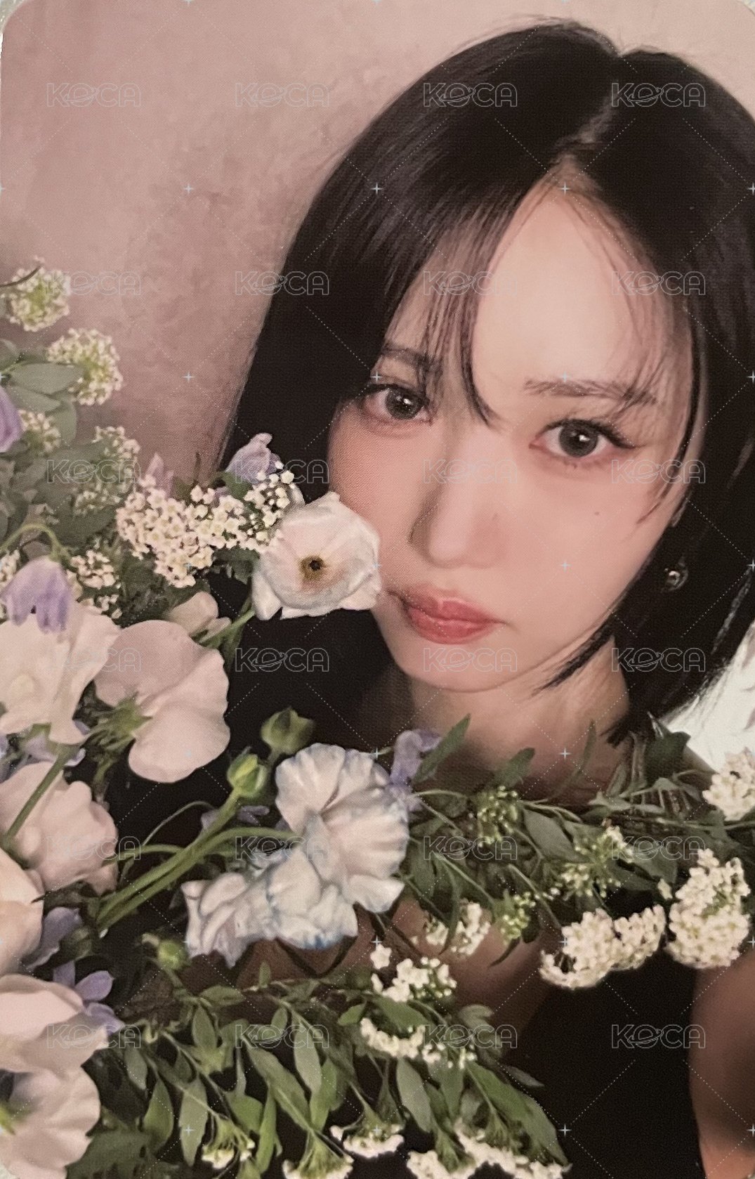 正一 專輯卡  正面