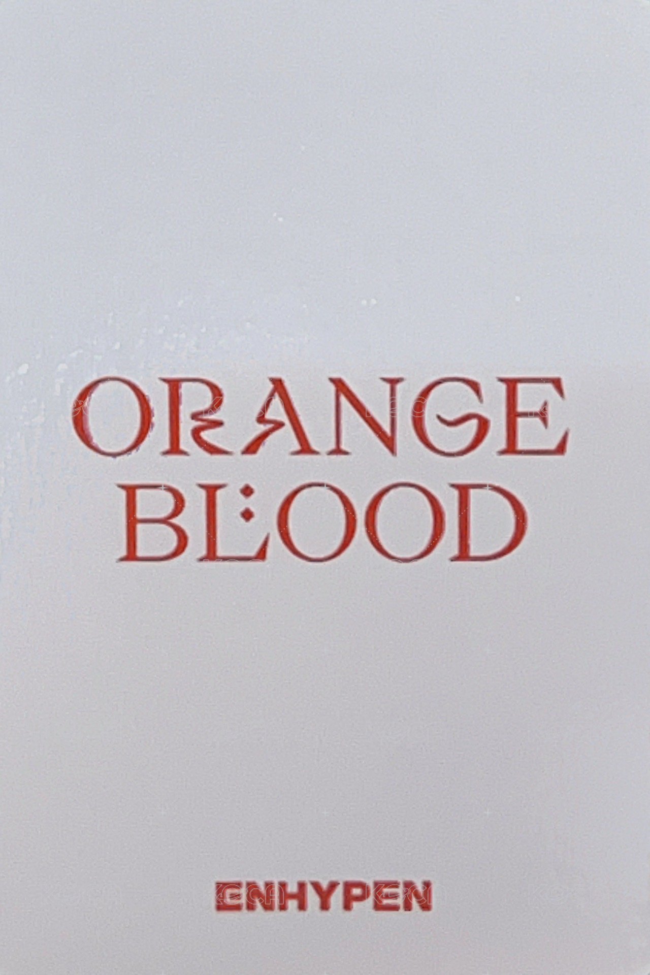 迷五 yzy 4.0 特典卡  背面