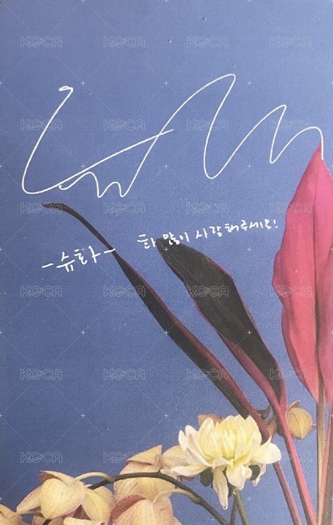 I BURN 專輯卡 花版專卡-刷 背面