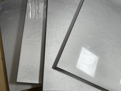 SEVENTEEN FML FACE THE SUN THIS MAN BSS空專