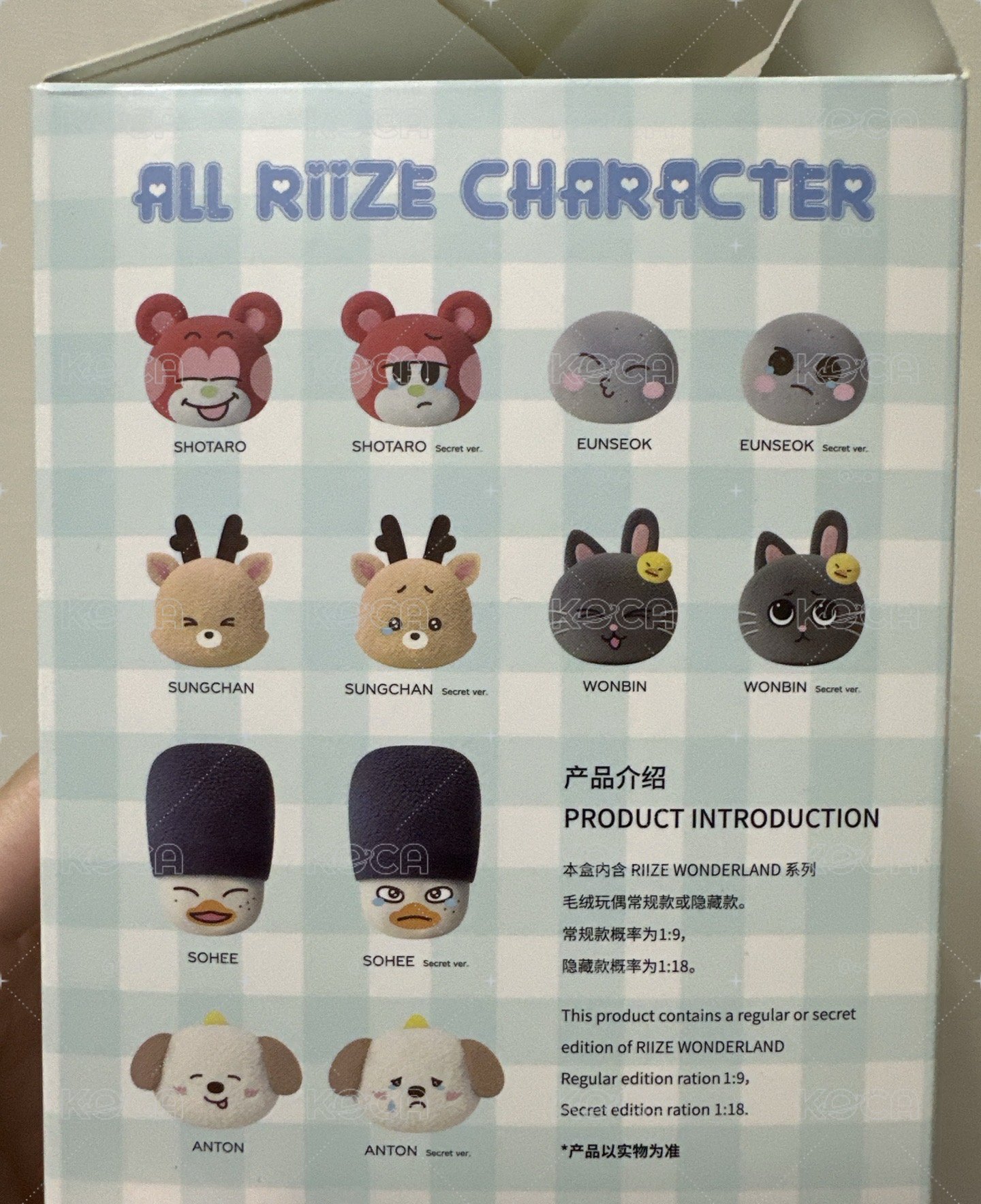 中國快閃 肌肉鹿盲盒