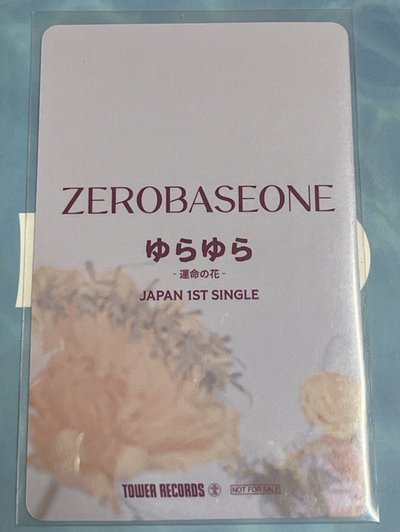 小鴨子在花花的世界遨遊🌼