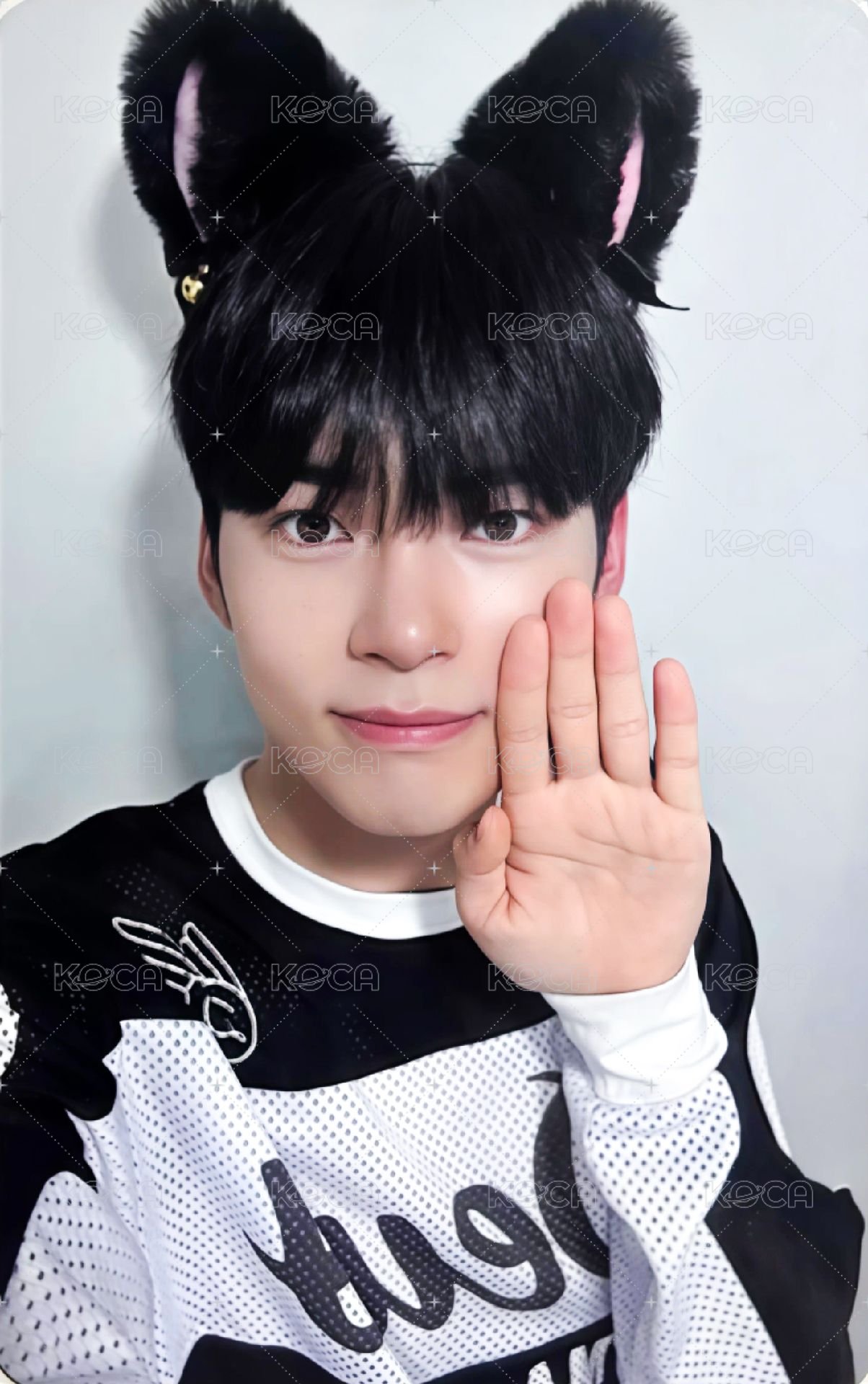 迷一 ms 1.0 特典卡 貓耳 ver. 正面