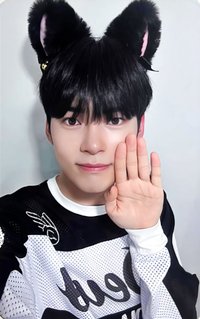 迷一 ms 1.0 特典卡 貓耳 ver.