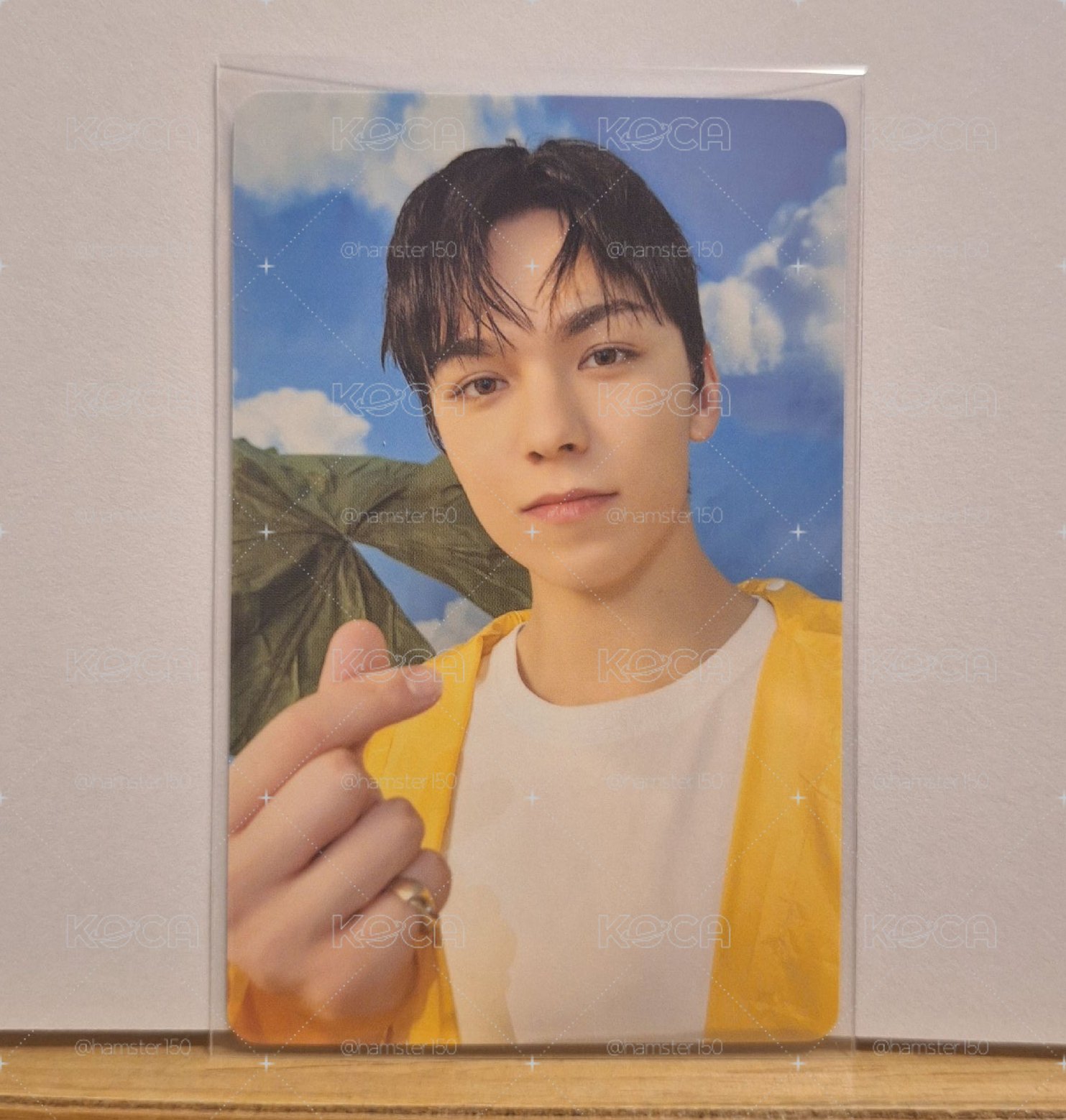 Mini11克拉盤 率