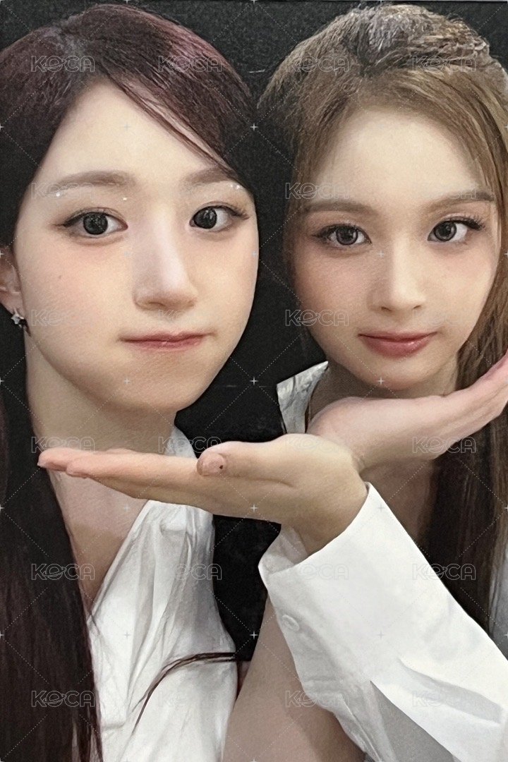 FORWARD ms 簽售卡 5.0 阿貢包嫄薛 正面