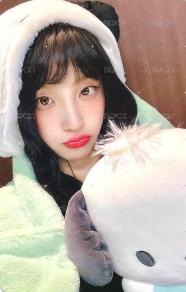 I SWAY am 1.0 幸運卡 帕洽狗 正面