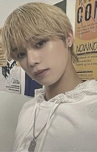 NOW 日咖 專輯卡 