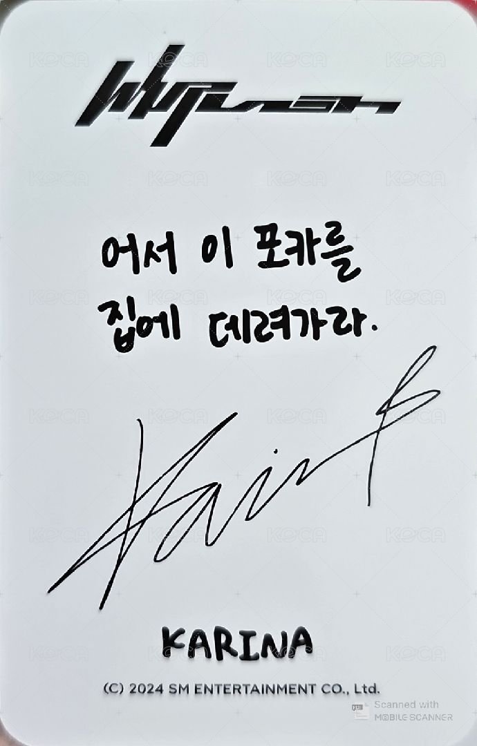 Whiplash 周邊卡 快閃鞋帶扣柚 背面