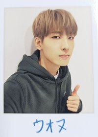 ‘SVT’ 隨機卡 日場隨機卡