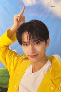 MINI11 專輯卡 ｜CARAT ver.