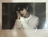 TREASURE in the NIGHT GARDEN 周邊卡 夜花園 睡覺 拍立得