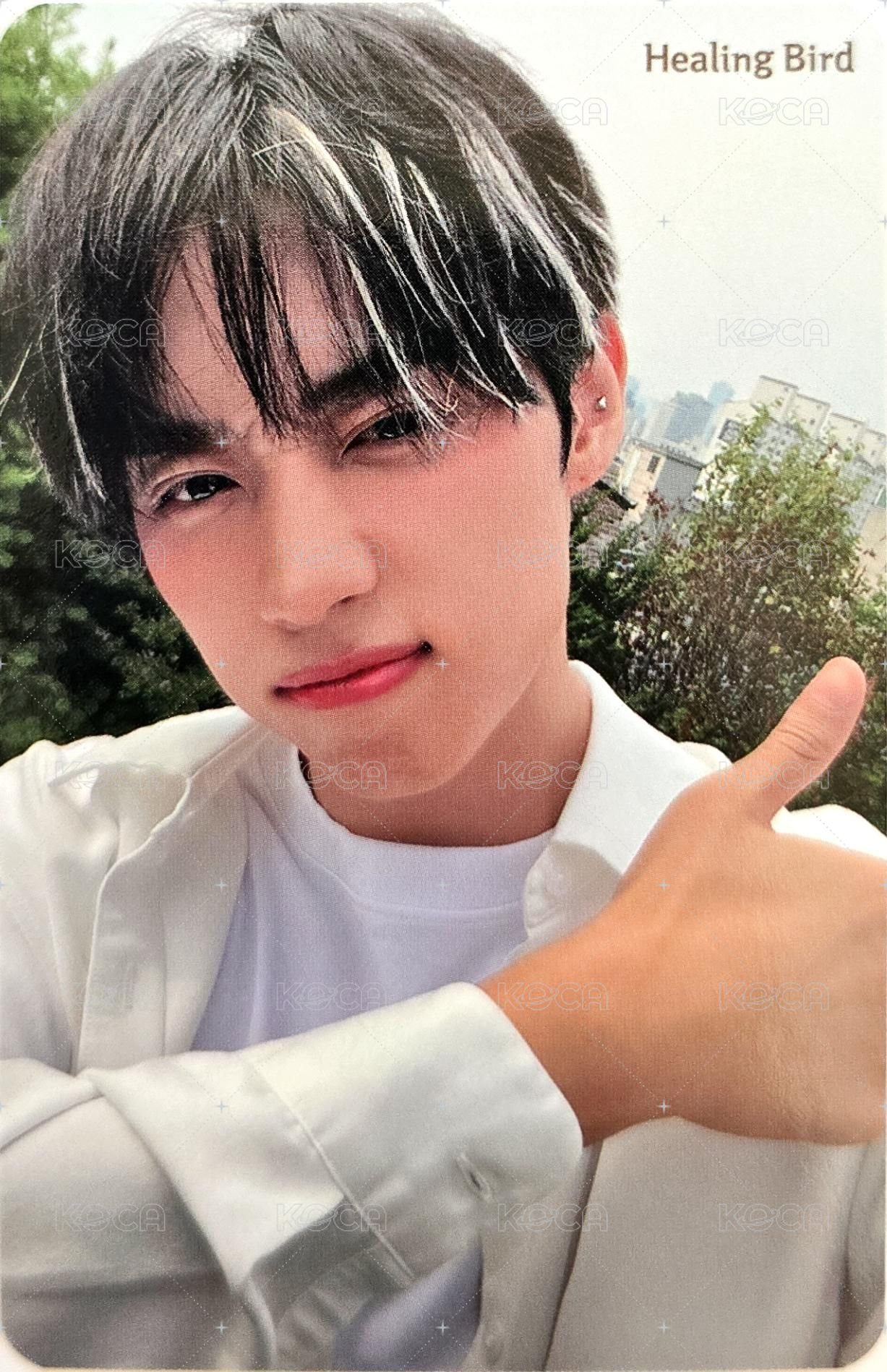 Healing Bird 代言卡 1.0 背面