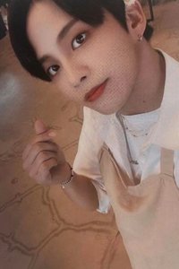 FEVER pt.3 專輯卡 Diary ver. 1