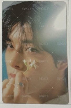 迷五 wvs 特典卡  正面