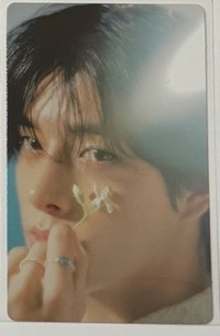 迷五 wvs 特典卡 