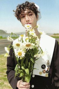 MAXIDENT bn 特典卡 