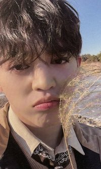 正四 wvs PB ver 特典卡 