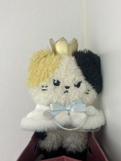 ZEROBASEONE(迷四 Ricky單封、大海L夾全專、專卡、王子鋭尼尼）