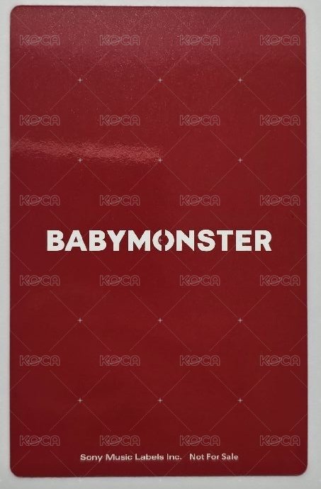 25’世巡 演唱會 DVD / CD 卡 25’世巡 專輯卡 日本快閃團卡 背面