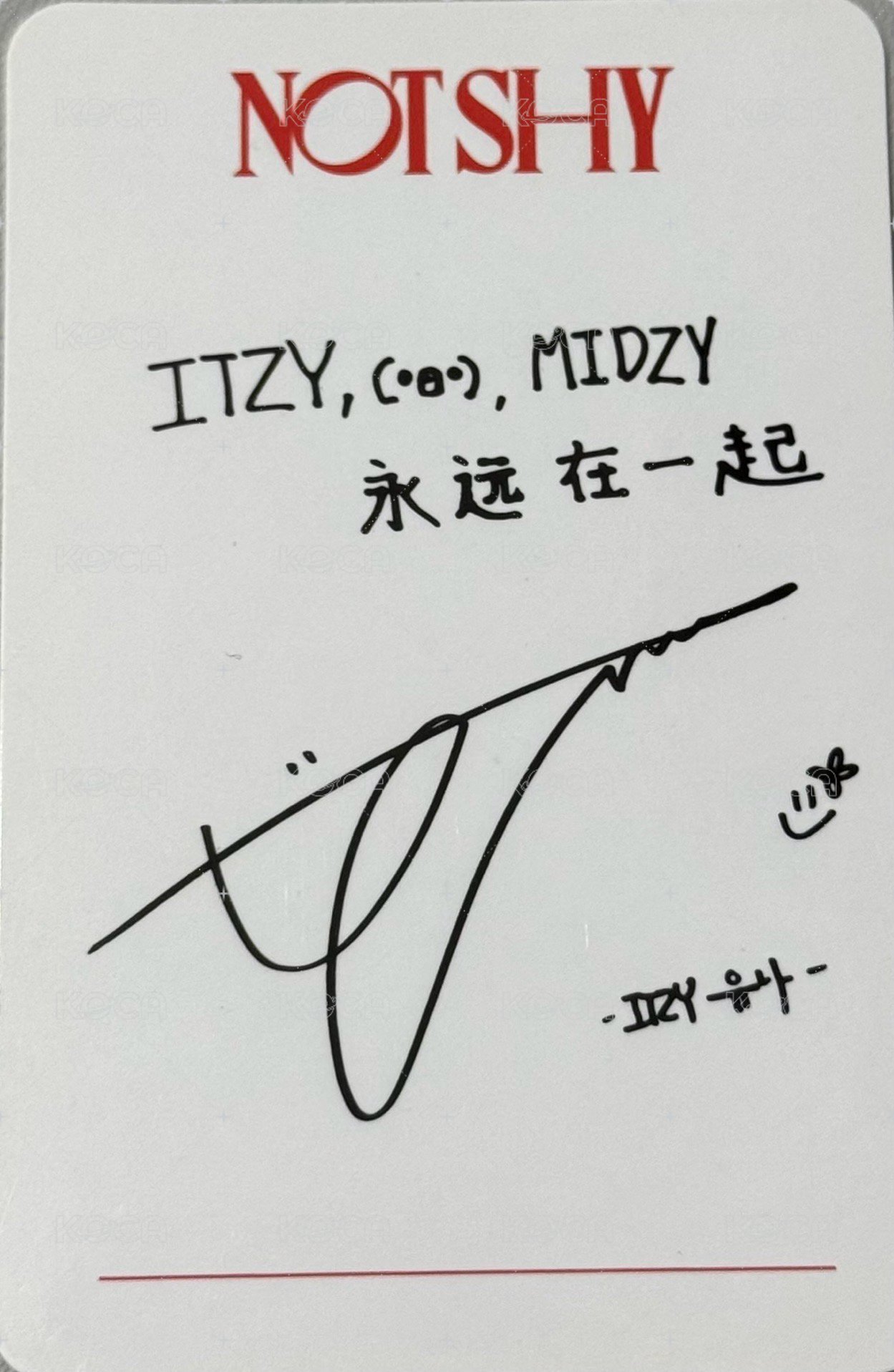 Not Shy yzy 特典卡  背面